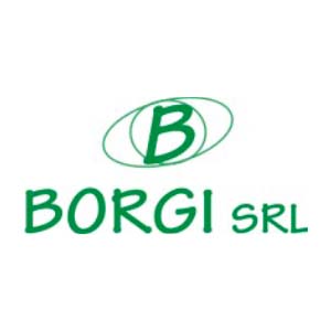 Borgi